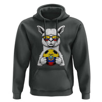Funny Ecuador Alpaca Soccer Lover Hoodie South American Pride Gift
