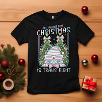 Funny Santa Cat Trans Pride T Shirt All I Want For Christmas Is Trans Rights - Wonder Print Shop
