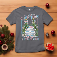 Funny Santa Cat Trans Pride T Shirt All I Want For Christmas Is Trans Rights - Wonder Print Shop