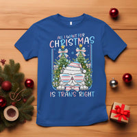 Funny Santa Cat Trans Pride T Shirt All I Want For Christmas Is Trans Rights - Wonder Print Shop