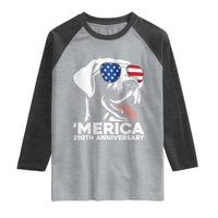 Merica Labrador Retriever Lover Raglan Shirt 250th Anniversary Gift