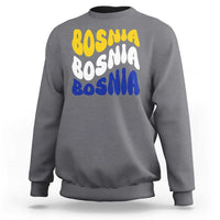 Groovy Retro Bosnia Sweatshirt Proud Bosnian Balkan Heritage Gift