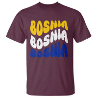 Groovy Retro Bosnia T Shirt Proud Bosnian Balkan Heritage Gift