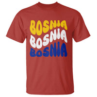 Groovy Retro Bosnia T Shirt Proud Bosnian Balkan Heritage Gift