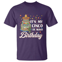 Funny Cinco De Mayo Birthday T Shirt Mexican Fiesta Theme Party
