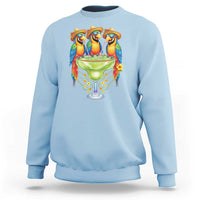 Cinco De Mayo Summer Party Sweatshirt Funny Parrots Drinking Margaritas
