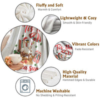 Funny Christmas In July Goose Throw Blanket Tropical Summer Beach Party