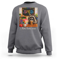 Funny SPED Raccoon Teacher Sweatshirt I Live Here Now