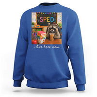 Funny SPED Raccoon Teacher Sweatshirt I Live Here Now
