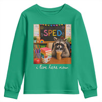Funny SPED Raccoon Teacher Youth Sweatshirt I Live Here Now