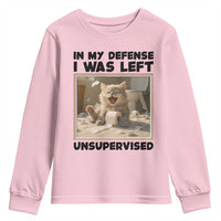 Funny Cat Humor Youth Sweatshirt In My Defense I Was Left Unsupervised - Wonder Print Shop