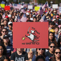 Funny Opossum Warrior Political Gift Protest Sign No Kings No Wars No Ice