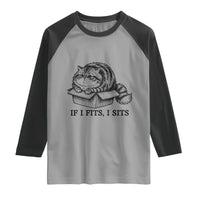 If I Fits I Sits Raglan Shirt Chubby Kitty Funny Cat Lover Gift