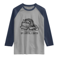 If I Fits I Sits Raglan Shirt Chubby Kitty Funny Cat Lover Gift