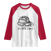 If I Fits I Sits Raglan Shirt Chubby Kitty Funny Cat Lover Gift