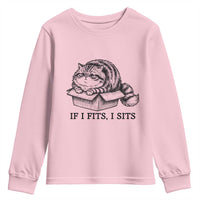 If I Fits I Sits Youth Sweatshirt Chubby Kitty Funny Cat Lover Gift