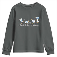 Funny Just A Soccer Goose Youth Sweatshirt Argentina Soccer Lover