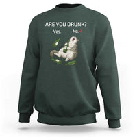 Cat Lover Humor Sweatshirt Are You Drunk Funny Beer Gift - Wonder Print Shop
