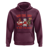 Greenland Is Not For Sale Hoodie Greenland Lover Support