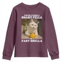 Funny Cat Meme Youth Sweatshirt You Are Either A Smart Fella Or A Fart Smella - Wonder Print Shop