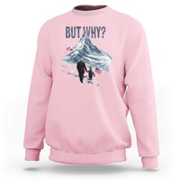But Why Penguin Sweatshirt Head Towards The Mountains Penguin Meme