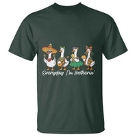 Everyday I'm Motherin T Shirt Cinco De Mayo Silly Goose Fiesta