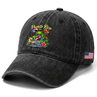 Hispanic Heritage Month Washed Cotton Baseball Cap Taino Boricua Coqui Frog Puerto Rico