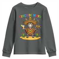 Cinco de Mayo Donkey Mexican Fiesta Youth Sweatshirt