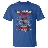Native American Trail Of Tears Deadly Journey T Shirt - Wonder Print Shop