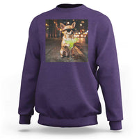 Cinco de Mayo Margarita Sweatshirt Funny Chihuahua Drinking Cocktail Mexican Fiesta Gift