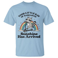 Funny Raccoon Rainbow T Shirt Your Little Ray Of Sarcastic Sunshine Has Arrived - Wonder Print Shop