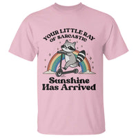 Funny Raccoon Rainbow T Shirt Your Little Ray Of Sarcastic Sunshine Has Arrived - Wonder Print Shop