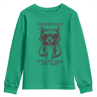 Undiagnosed But Something Aint Right Youth Sweatshirt Funny Racoon Saying - Wonder Print Shop