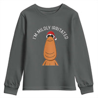 Marcus The Worm Christmas Meme Youth Sweatshirt I Am Mildly Irritated - Wonder Print Shop