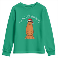 Marcus The Worm Christmas Meme Youth Sweatshirt I Am Mildly Irritated - Wonder Print Shop