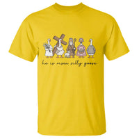 He Is Risen Silly Goose T Shirt Funny Christian Easter
