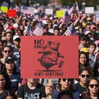 Quiet Piggy No Kings Protest Sign Funny Sarcastic Political - Wonder Print Shop