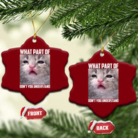 Funny Math Cat Lover Ceramic Ornament What Part Of Do Not You Understand - Wonder Print Shop