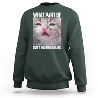Funny Math Cat Lover Sweatshirt What Part Of Do Not You Understand - Wonder Print Shop