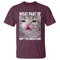 Funny Math Cat Lover T Shirt What Part Of Do Not You Understand - Wonder Print Shop