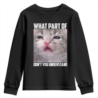 Funny Math Cat Lover Youth Sweatshirt What Part Of Do Not You Understand - Wonder Print Shop