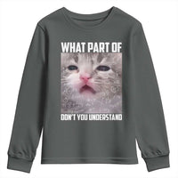 Funny Math Cat Lover Youth Sweatshirt What Part Of Do Not You Understand - Wonder Print Shop