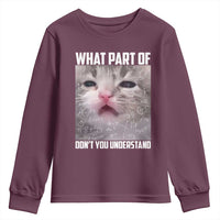 Funny Math Cat Lover Youth Sweatshirt What Part Of Do Not You Understand - Wonder Print Shop