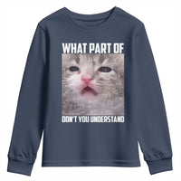 Funny Math Cat Lover Youth Sweatshirt What Part Of Do Not You Understand - Wonder Print Shop