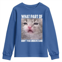 Funny Math Cat Lover Youth Sweatshirt What Part Of Do Not You Understand - Wonder Print Shop