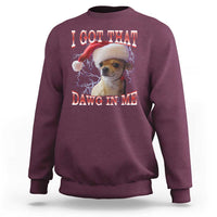 Funny Chihuahua Christmas Meme Sweatshirt I Got That Dawg In Me - Wonder Print Shop