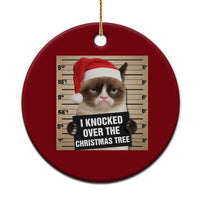 Funny Cat Mugshot Xmas Ceramic Ornament I Will Protect You Kitten No Matter What - Wonder Print Shop