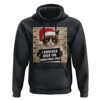 Funny Cat Mugshot Christmas Hoodie I Will Protect You Kitten No Matter What - Wonder Print Shop