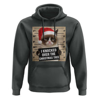 Funny Cat Mugshot Christmas Hoodie I Will Protect You Kitten No Matter What - Wonder Print Shop
