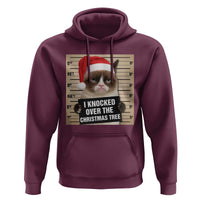 Funny Cat Mugshot Christmas Hoodie I Will Protect You Kitten No Matter What - Wonder Print Shop